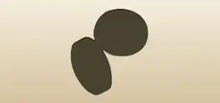 Compass silhouette