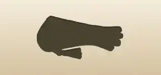 Falconry Glove silhouette