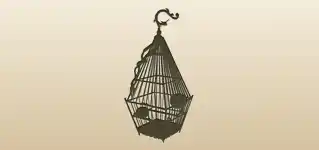 Birdcage silhouette