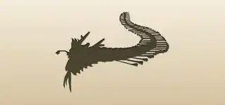 Kite silhouette