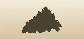 Grapes silhouette