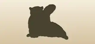 Snow Leopard silhouette