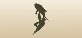 Fish silhouette