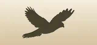 Falcon silhouette