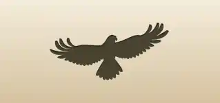 Falcon silhouette