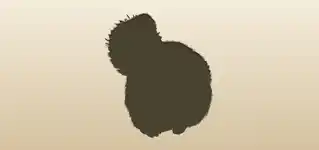 Flying Squirrel silhouette