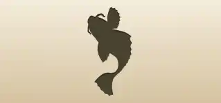 Fish silhouette