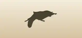 Flying Squirrel silhouette