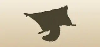 Flying Squirrel silhouette