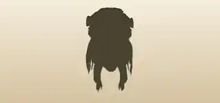 Mask silhouette