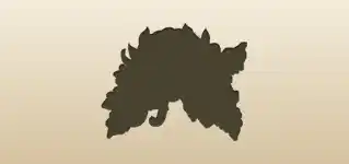 Chrysanthemum silhouette