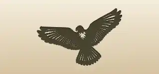 Falcon silhouette