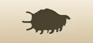 Shell silhouette