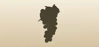 Grapes silhouette