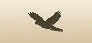 Falcon silhouette