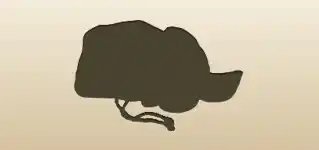 Sycee Gold Bars silhouette
