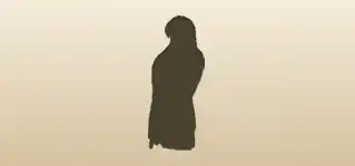 Falcon silhouette