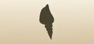 Shell silhouette