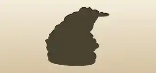 Money Toad silhouette