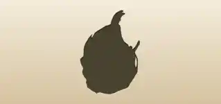 Dragon Fruit silhouette
