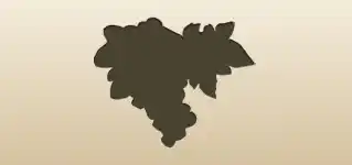 Grapes silhouette