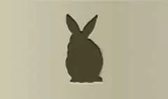 Rabbit silhouette