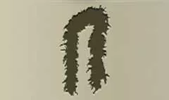 Feather Boa silhouette