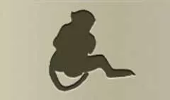 Monkey silhouette