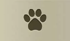 Paw Print silhouette