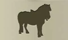 Pony silhouette