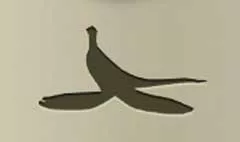 Banana Peel