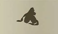 Ballet Shoes silhouette
