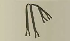 Suspenders silhouette