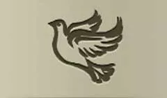 Pigeon silhouette