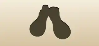 Clown Shoes