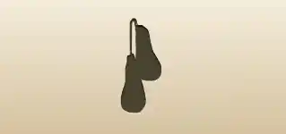 Clown Shoes