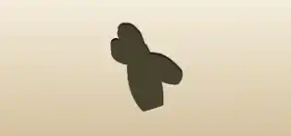 Ballet Shoes