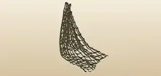 Net