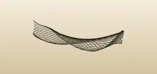 Net