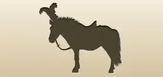 Pony