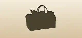Bag with Banknotes