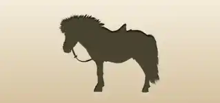 Pony