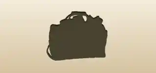 Bag with Banknotes