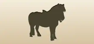 Pony