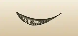 Net