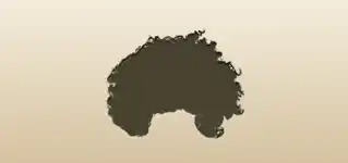 Clown Wig
