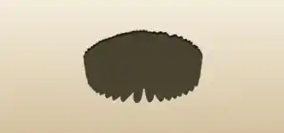 Ruff Collar