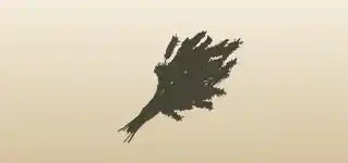 ドライフラワー