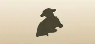 子羊