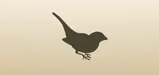 鳥